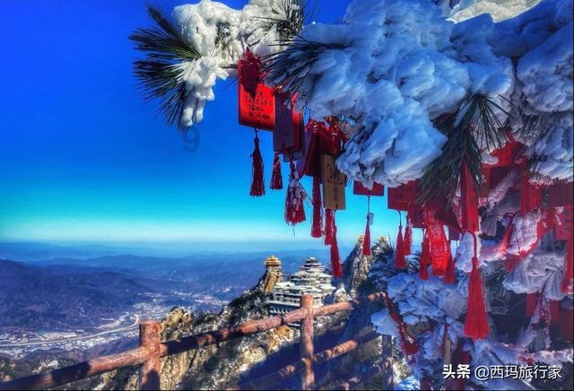 重庆九龙坡:警力集结,守护民安